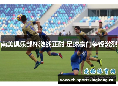 南美俱乐部杯激战正酣 足球豪门争锋激烈